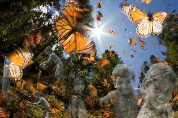 Leyenda de michoacán de la mariposa monarca